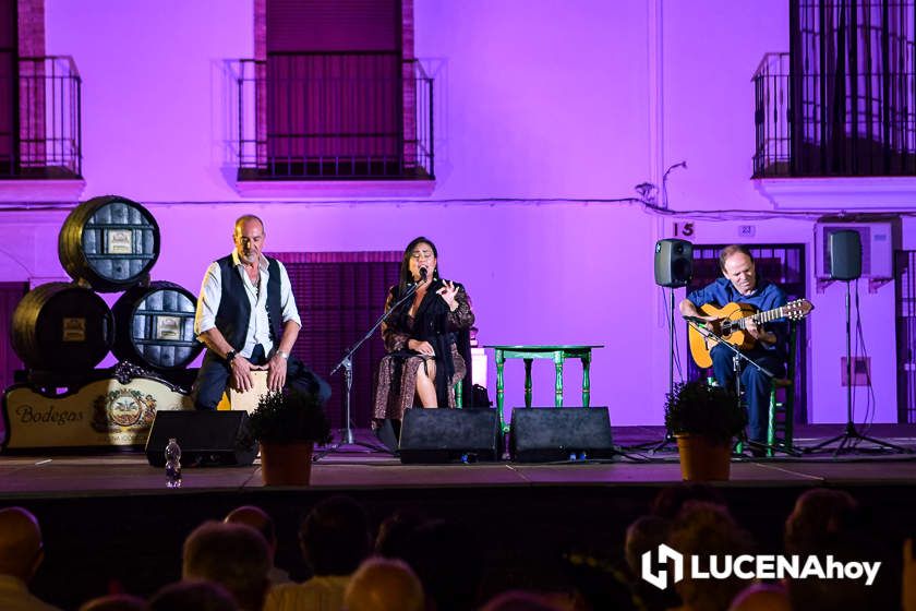 GALERÍA: Espléndido ambiente en la tradicional Feria de Santiago que ayer celebró el XVIII Festival Flamenco "Curro Lucena"