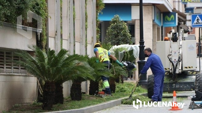 Trabajos de mantenimiento en el jardín vertical en 2018