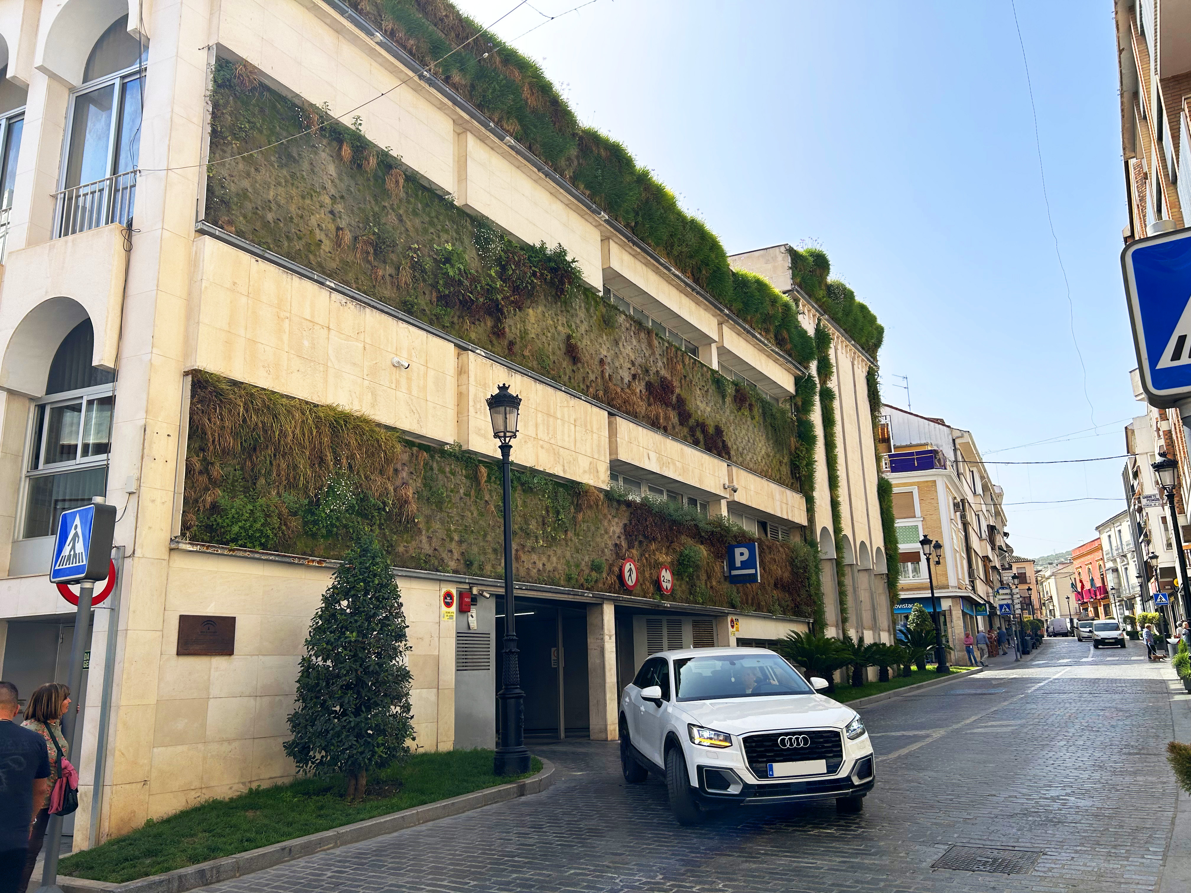 Jardín vertical del ayuntamiento de Lucena