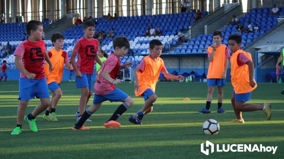 GALERÍA: El CD Lucecor finaliza su Escuela de Tecnificación de Fútbol con más de 150 participantes GALERÍA: El CD Lucecor finaliza su Escuela de Tecnificación de Fútbol con más de 150 participantes