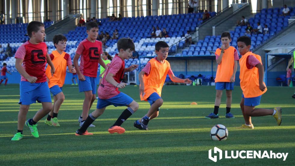 GALERÍA: El CD Lucecor finaliza su Escuela de Tecnificación de Fútbol con más de 150 participantes