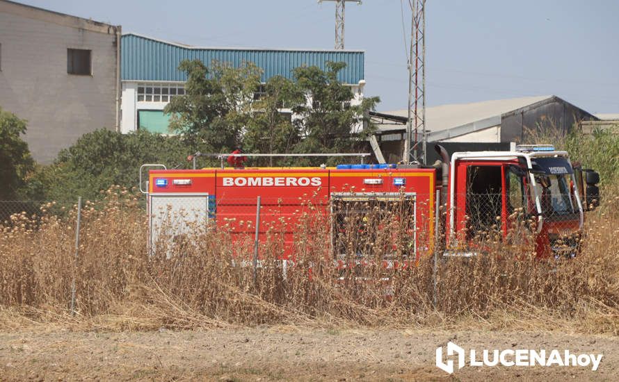 GALERÍA: La avería de una línea eléctrica, probable causa del importante incendio en la ribera del río Lucena, que ha puesto en riesgo a numerosas empresas