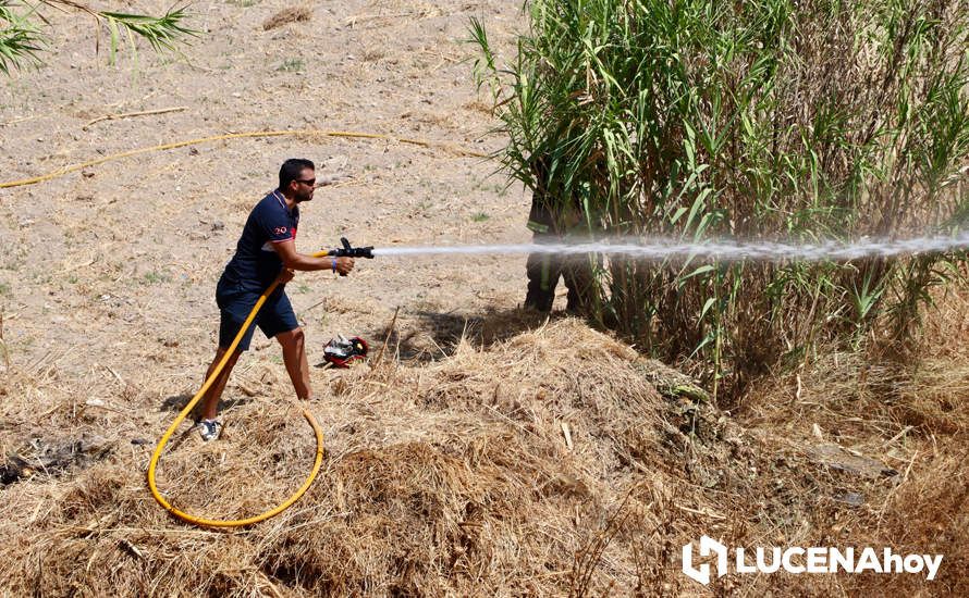 GALERÍA: La avería de una línea eléctrica, probable causa del importante incendio en la ribera del río Lucena, que ha puesto en riesgo a numerosas empresas