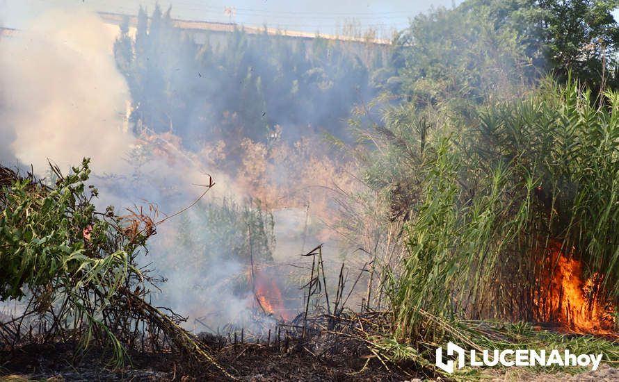 GALERÍA: La avería de una línea eléctrica, probable causa del importante incendio en la ribera del río Lucena, que ha puesto en riesgo a numerosas empresas