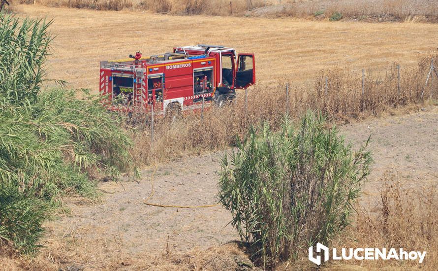 GALERÍA: La avería de una línea eléctrica, probable causa del importante incendio en la ribera del río Lucena, que ha puesto en riesgo a numerosas empresas GALERÍA: La avería de una línea eléctrica, probable causa del importante incendio en la ribera del río Lucena, que ha puesto en riesgo a numerosas empresas