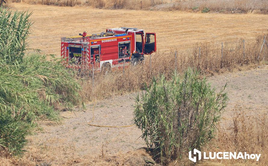 GALERÍA: La avería de una línea eléctrica, probable causa del importante incendio en la ribera del río Lucena, que ha puesto en riesgo a numerosas empresas