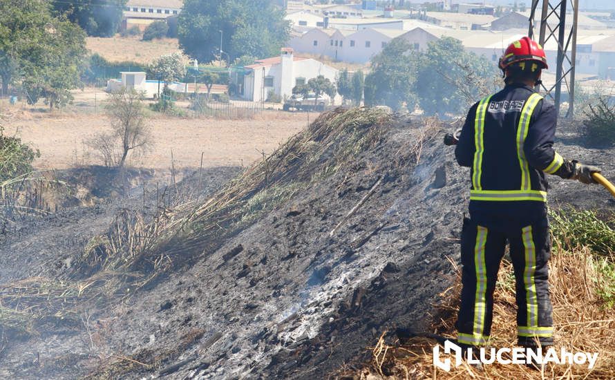 GALERÍA: La avería de una línea eléctrica, probable causa del importante incendio en la ribera del río Lucena, que ha puesto en riesgo a numerosas empresas