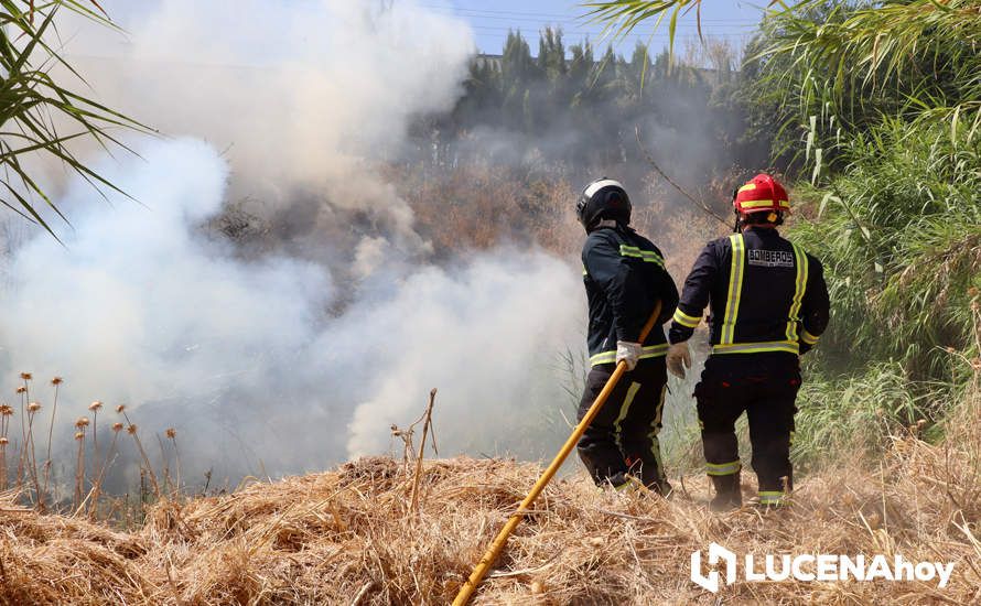 GALERÍA: La avería de una línea eléctrica, probable causa del importante incendio en la ribera del río Lucena, que ha puesto en riesgo a numerosas empresas