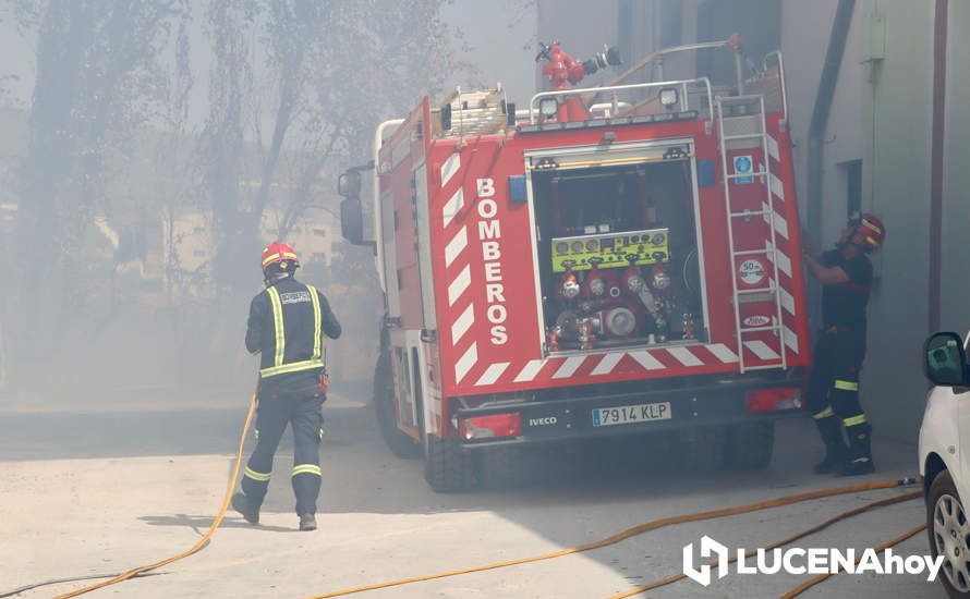 GALERÍA: La avería de una línea eléctrica, probable causa del importante incendio en la ribera del río Lucena, que ha puesto en riesgo a numerosas empresas