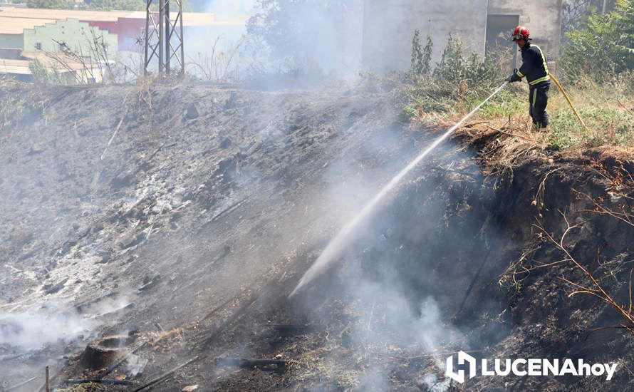 GALERÍA: La avería de una línea eléctrica, probable causa del importante incendio en la ribera del río Lucena, que ha puesto en riesgo a numerosas empresas