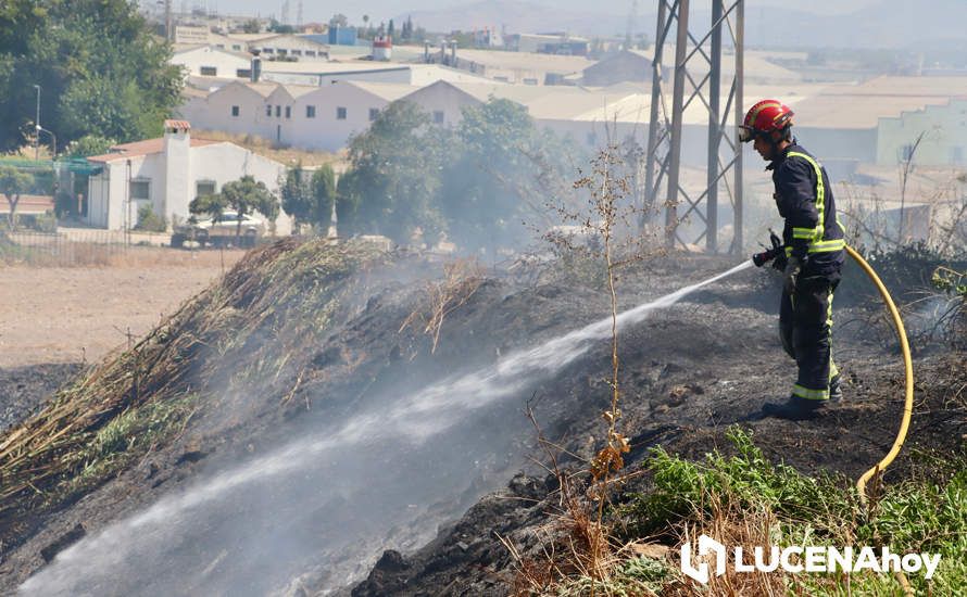 GALERÍA: La avería de una línea eléctrica, probable causa del importante incendio en la ribera del río Lucena, que ha puesto en riesgo a numerosas empresas