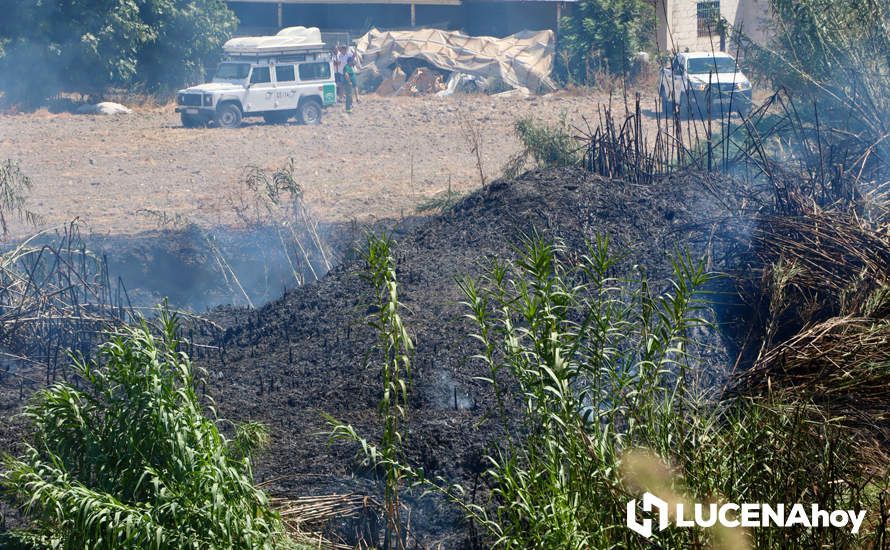 GALERÍA: La avería de una línea eléctrica, probable causa del importante incendio en la ribera del río Lucena, que ha puesto en riesgo a numerosas empresas