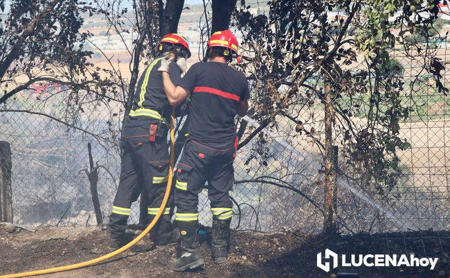 GALERÍA: La avería de una línea eléctrica, probable causa del importante incendio en la ribera del río Lucena, que ha puesto en riesgo a numerosas empresas