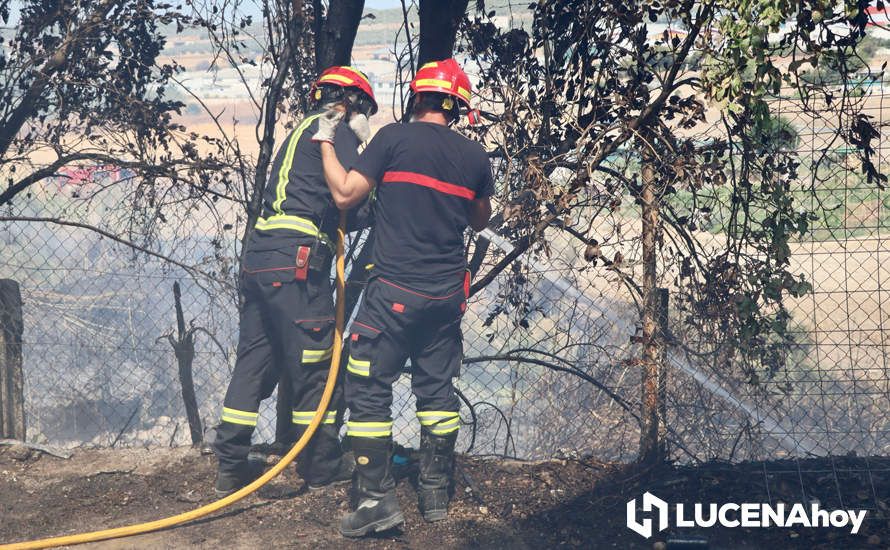 GALERÍA: La avería de una línea eléctrica, probable causa del importante incendio en la ribera del río Lucena, que ha puesto en riesgo a numerosas empresas GALERÍA: La avería de una línea eléctrica, probable causa del importante incendio en la ribera del río Lucena, que ha puesto en riesgo a numerosas empresas