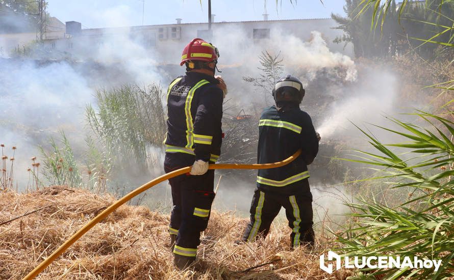 GALERÍA: La avería de una línea eléctrica, probable causa del importante incendio en la ribera del río Lucena, que ha puesto en riesgo a numerosas empresas