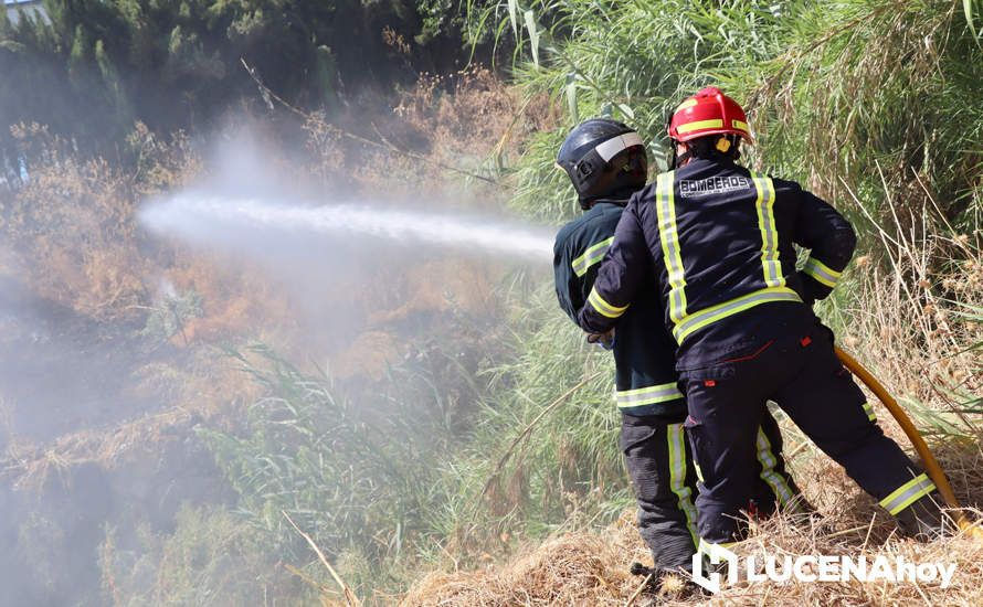 GALERÍA: La avería de una línea eléctrica, probable causa del importante incendio en la ribera del río Lucena, que ha puesto en riesgo a numerosas empresas