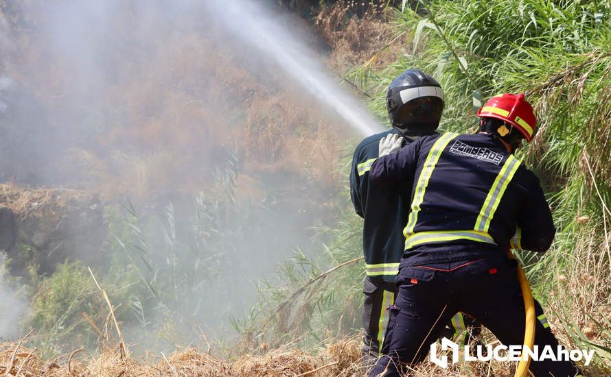 GALERÍA: La avería de una línea eléctrica, probable causa del importante incendio en la ribera del río Lucena, que ha puesto en riesgo a numerosas empresas