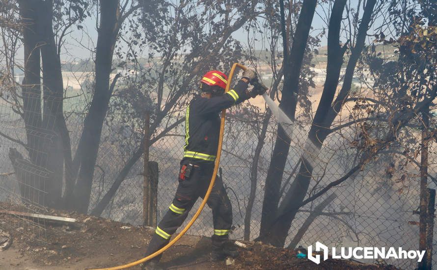 GALERÍA: La avería de una línea eléctrica, probable causa del importante incendio en la ribera del río Lucena, que ha puesto en riesgo a numerosas empresas