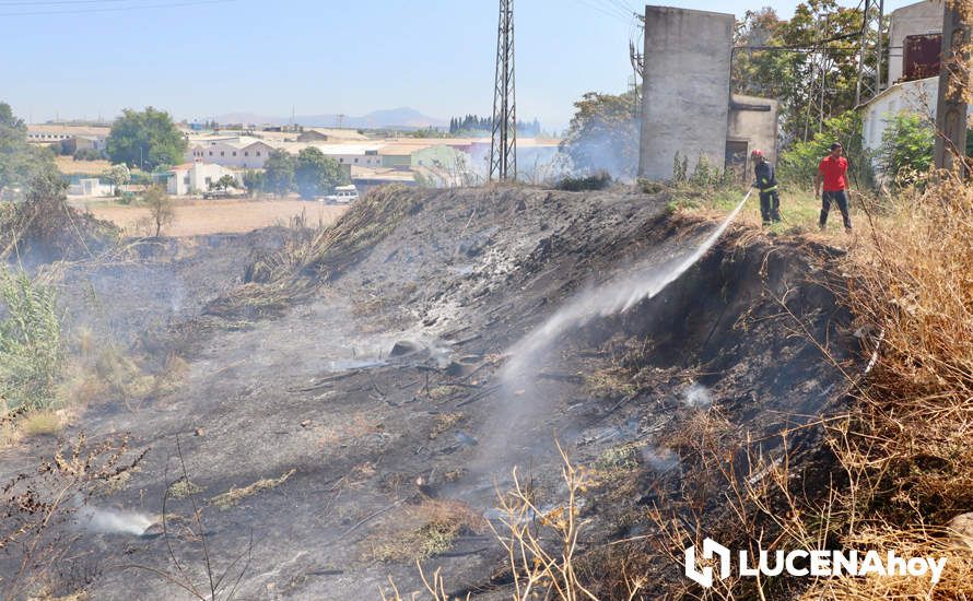 GALERÍA: La avería de una línea eléctrica, probable causa del importante incendio en la ribera del río Lucena, que ha puesto en riesgo a numerosas empresas GALERÍA: La avería de una línea eléctrica, probable causa del importante incendio en la ribera del río Lucena, que ha puesto en riesgo a numerosas empresas