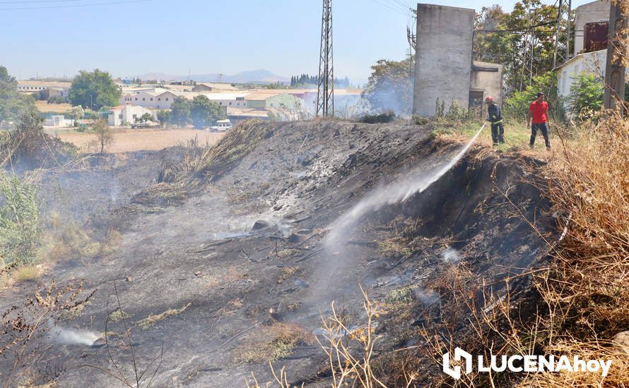 GALERÍA: La avería de una línea eléctrica, probable causa del importante incendio en la ribera del río Lucena, que ha puesto en riesgo a numerosas empresas