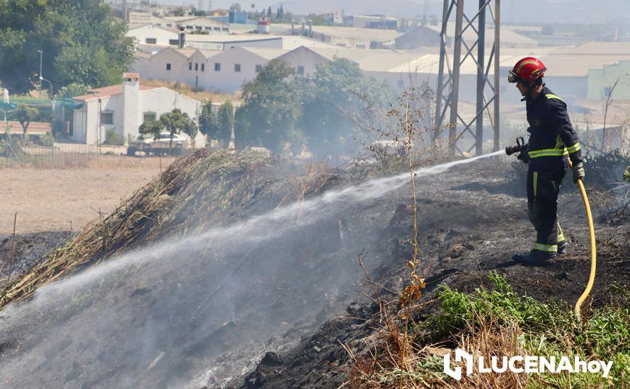 GALERÍA: La avería de una línea eléctrica, probable causa del importante incendio en la ribera del río Lucena, que ha puesto en riesgo a numerosas empresas GALERÍA: La avería de una línea eléctrica, probable causa del importante incendio en la ribera del río Lucena, que ha puesto en riesgo a numerosas empresas