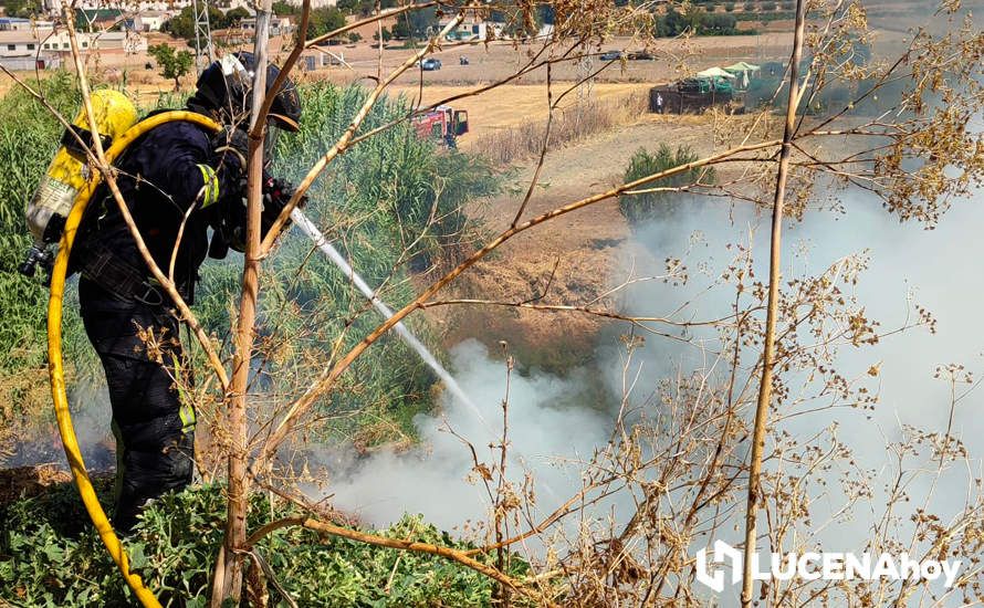 GALERÍA: La avería de una línea eléctrica, probable causa del importante incendio en la ribera del río Lucena, que ha puesto en riesgo a numerosas empresas