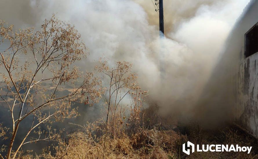 GALERÍA: La avería de una línea eléctrica, probable causa del importante incendio en la ribera del río Lucena, que ha puesto en riesgo a numerosas empresas GALERÍA: La avería de una línea eléctrica, probable causa del importante incendio en la ribera del río Lucena, que ha puesto en riesgo a numerosas empresas