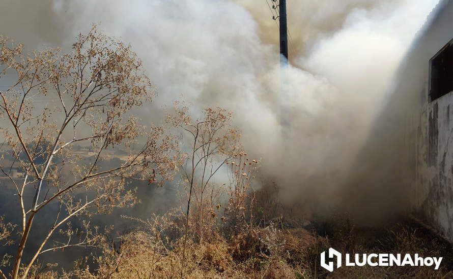 GALERÍA: La avería de una línea eléctrica, probable causa del importante incendio en la ribera del río Lucena, que ha puesto en riesgo a numerosas empresas