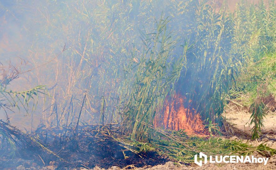 GALERÍA: La avería de una línea eléctrica, probable causa del importante incendio en la ribera del río Lucena, que ha puesto en riesgo a numerosas empresas