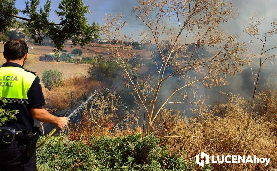 GALERÍA: La avería de una línea eléctrica, probable causa del importante incendio en la ribera del río Lucena, que ha puesto en riesgo a numerosas empresas