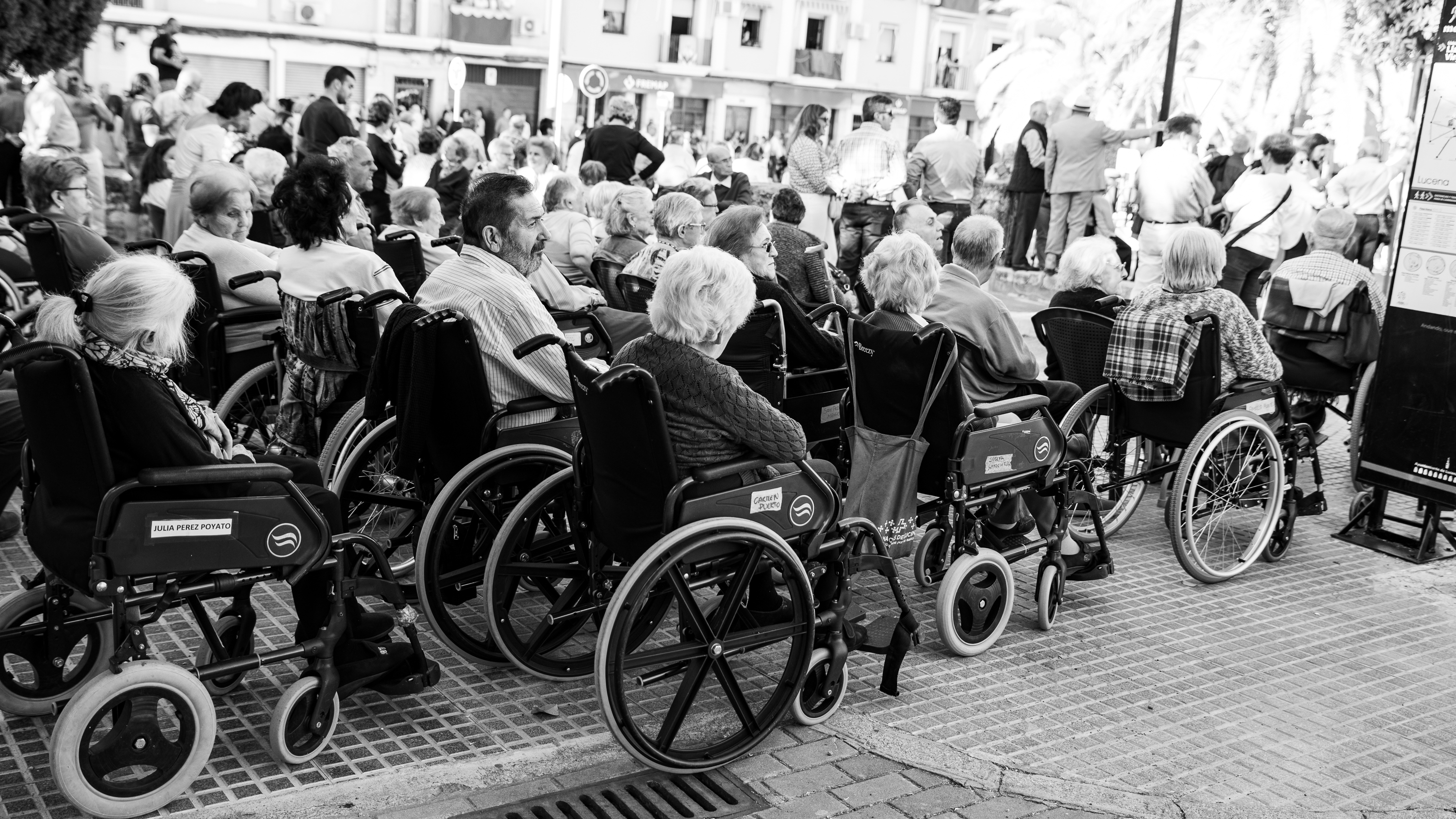 Romería de Bajada 2023   Lucena (12)