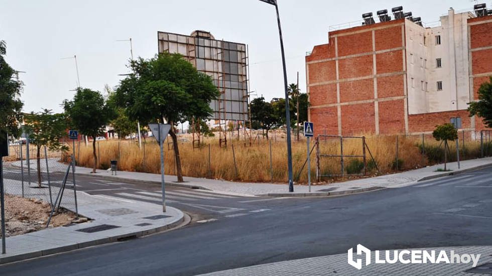  La acumulación de maleza es evidente en muchas de las parcelas existentes en esta zona de la ciudad 