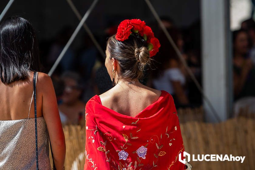 GALERÍA: Los trajes de flamenca y el paseo de caballos llenan de colorido la Feria del Valle