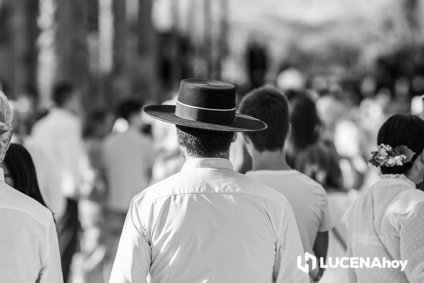 GALERÍA: Los trajes de flamenca y el paseo de caballos llenan de colorido la Feria del Valle GALERÍA: Los trajes de flamenca y el paseo de caballos llenan de colorido la Feria del Valle