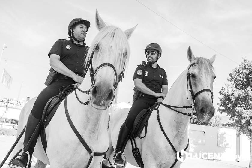 GALERÍA: Los trajes de flamenca y el paseo de caballos llenan de colorido la Feria del Valle