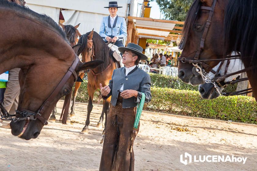 GALERÍA: Los trajes de flamenca y el paseo de caballos llenan de colorido la Feria del Valle