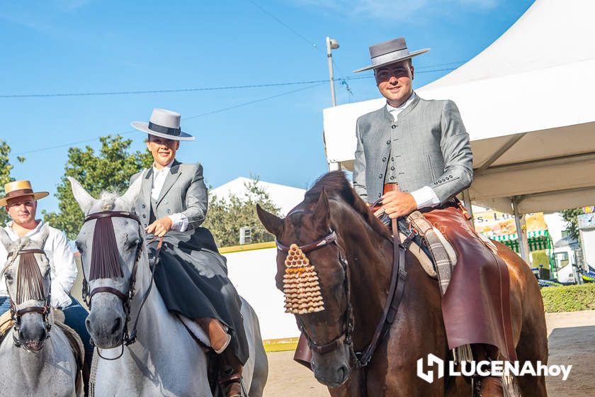 GALERÍA: Los trajes de flamenca y el paseo de caballos llenan de colorido la Feria del Valle