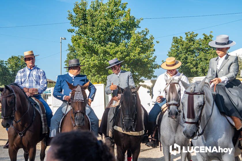 GALERÍA: Los trajes de flamenca y el paseo de caballos llenan de colorido la Feria del Valle