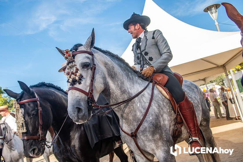 GALERÍA: Los trajes de flamenca y el paseo de caballos llenan de colorido la Feria del Valle GALERÍA: Los trajes de flamenca y el paseo de caballos llenan de colorido la Feria del Valle