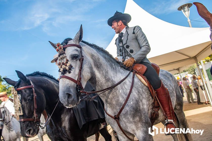 GALERÍA: Los trajes de flamenca y el paseo de caballos llenan de colorido la Feria del Valle