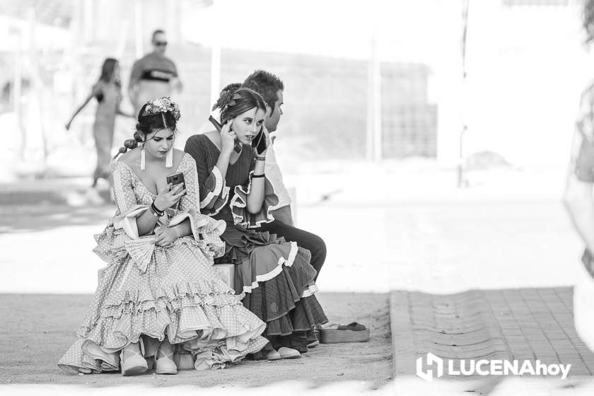 GALERÍA: Los trajes de flamenca y el paseo de caballos llenan de colorido la Feria del Valle