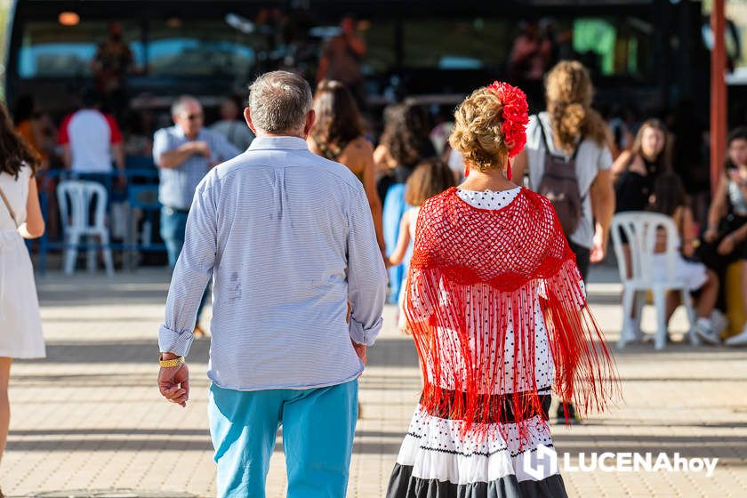 GALERÍA: Los trajes de flamenca y el paseo de caballos llenan de colorido la Feria del Valle