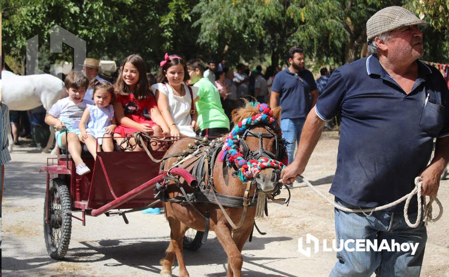 GALERÍA / Volviendo a los orígenes: La Estación acoge una nueva edición de la Feria del Ganado Tradicional de Lucena