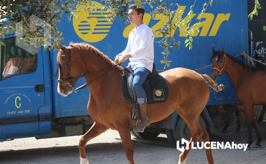 GALERÍA / Volviendo a los orígenes: La Estación acoge una nueva edición de la Feria del Ganado Tradicional de Lucena GALERÍA / Volviendo a los orígenes: La Estación acoge una nueva edición de la Feria del Ganado Tradicional de Lucena