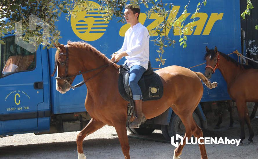 GALERÍA / Volviendo a los orígenes: La Estación acoge una nueva edición de la Feria del Ganado Tradicional de Lucena