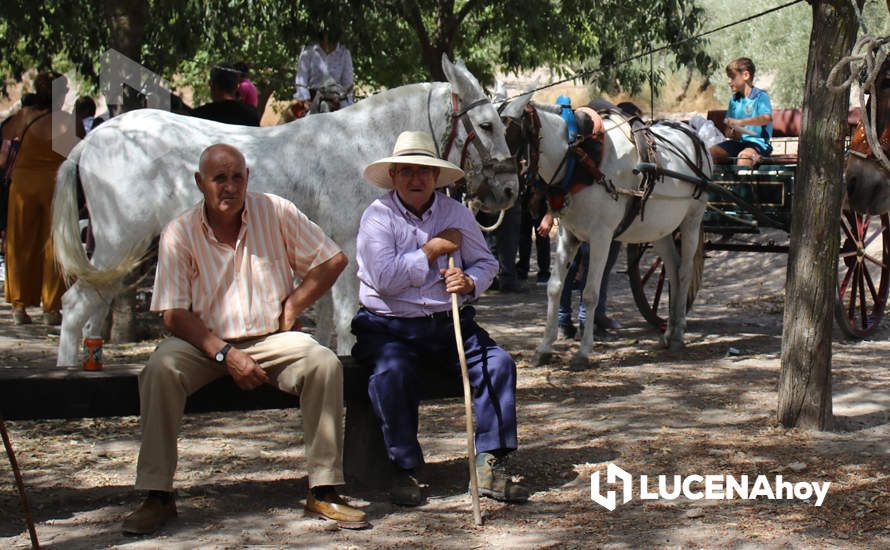 GALERÍA / Volviendo a los orígenes: La Estación acoge una nueva edición de la Feria del Ganado Tradicional de Lucena