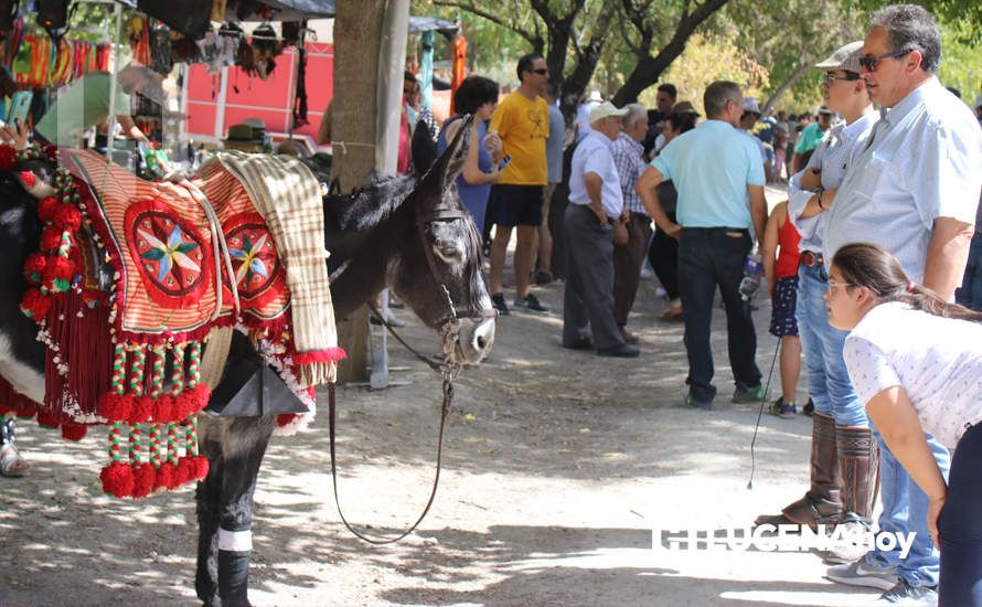 Una imagen de la pasada edición de la Feria del Ganado Tradicional de Lucena