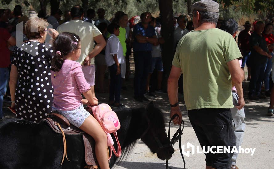 GALERÍA / Volviendo a los orígenes: La Estación acoge una nueva edición de la Feria del Ganado Tradicional de Lucena