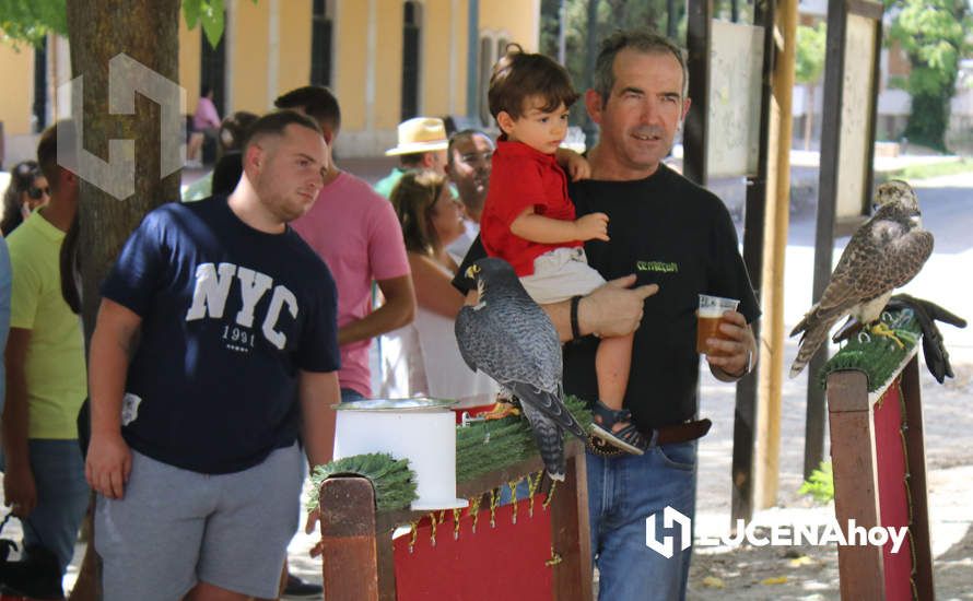 GALERÍA / Volviendo a los orígenes: La Estación acoge una nueva edición de la Feria del Ganado Tradicional de Lucena