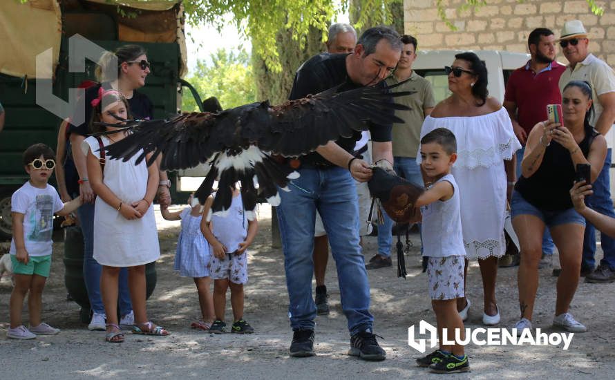 GALERÍA / Volviendo a los orígenes: La Estación acoge una nueva edición de la Feria del Ganado Tradicional de Lucena